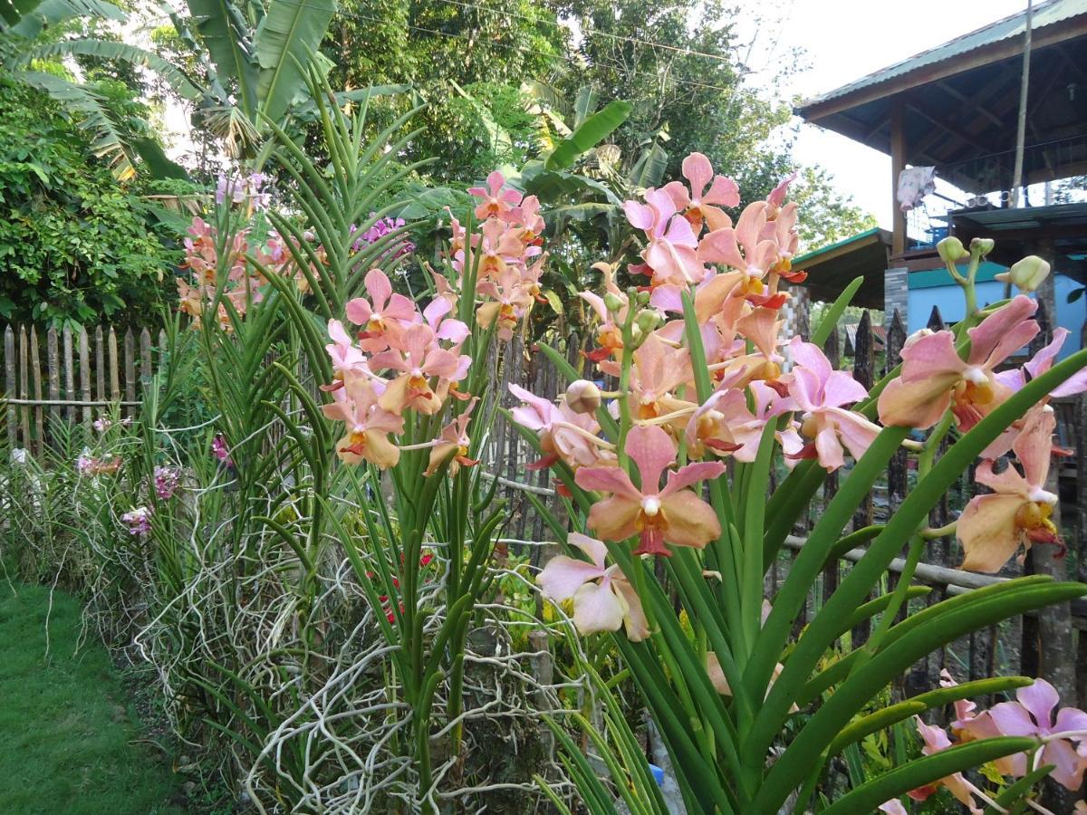 Lhoyjean Garden Hostel Batuan Eksteriør bilde